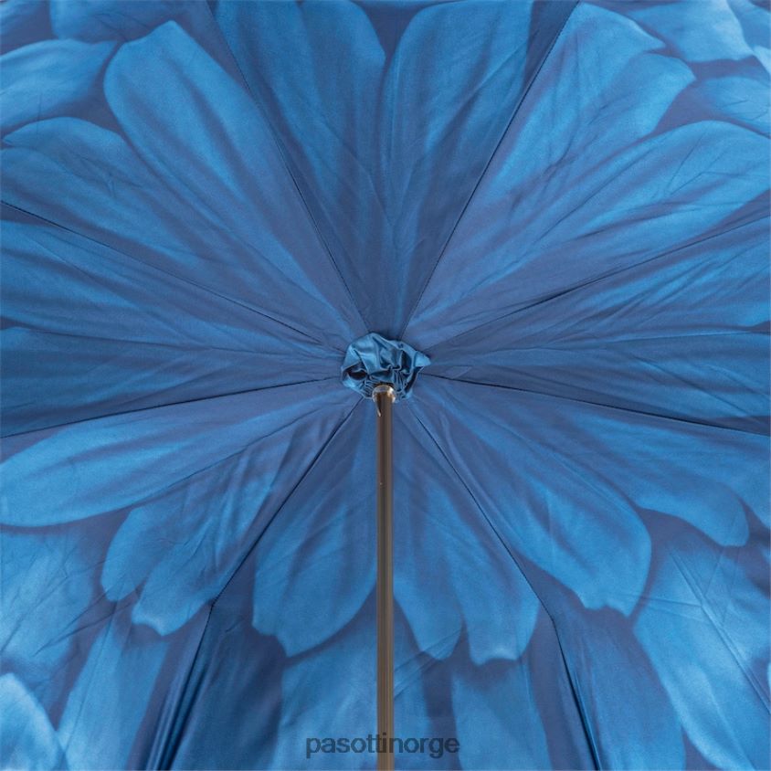 paraply | PASOTTI 189 21065-13 p17 - luksuriøs blå dahlia paraply, dobbel klut 8B6Z26337 kvinner