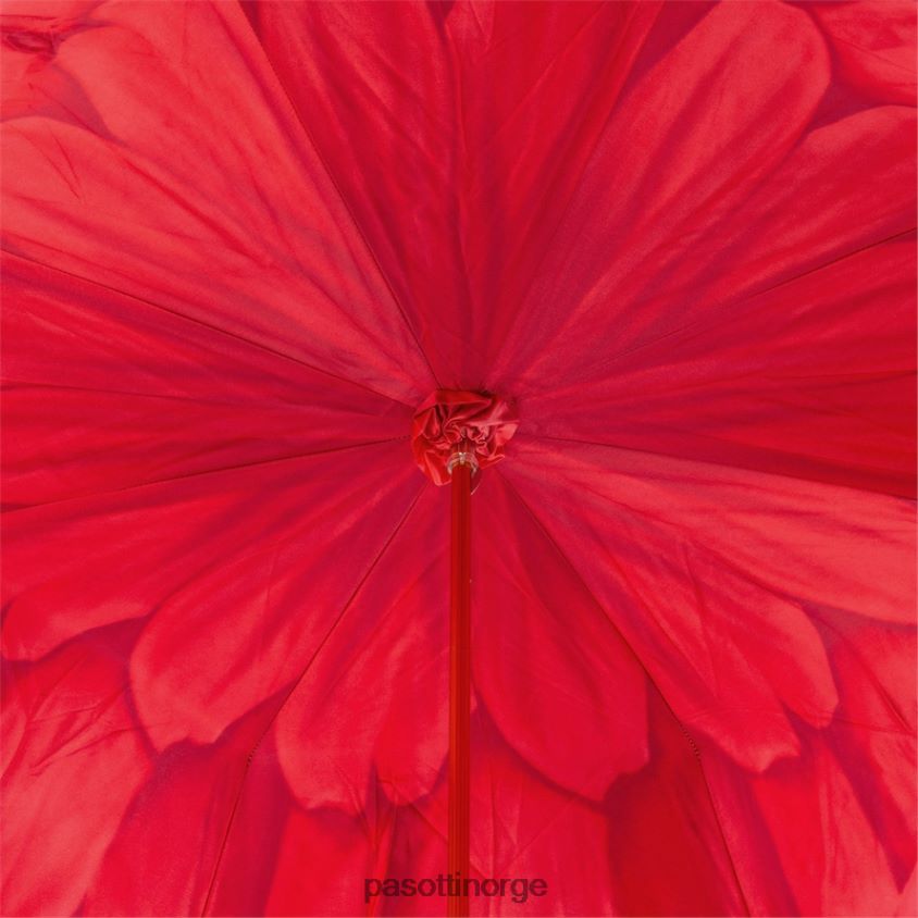 paraply | PASOTTI 189 21065-21 a - rød dahlia paraply, dobbel klut 8B6Z26331 kvinner