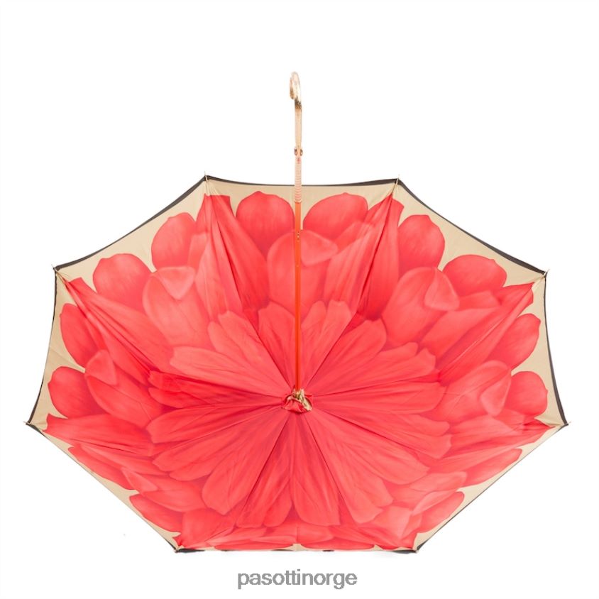 paraply | PASOTTI 189 21065-21 p5 - paraply med blomst inni 8B6Z26385 kvinner