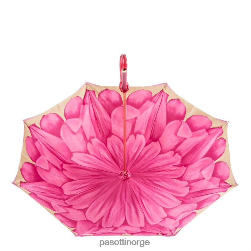 paraply | PASOTTI 189 21065-30 a - fuchsia dahlia paraply, dobbel klut 8B6Z26377 kvinner