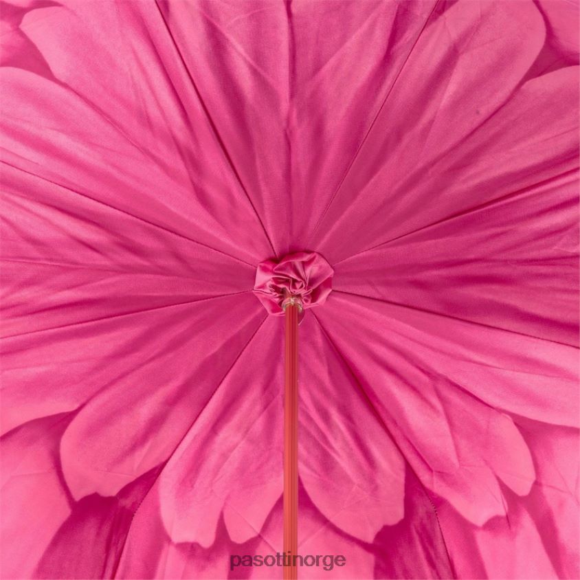 paraply | PASOTTI 189 21065-30 a - fuchsia dahlia paraply, dobbel klut 8B6Z26377 kvinner