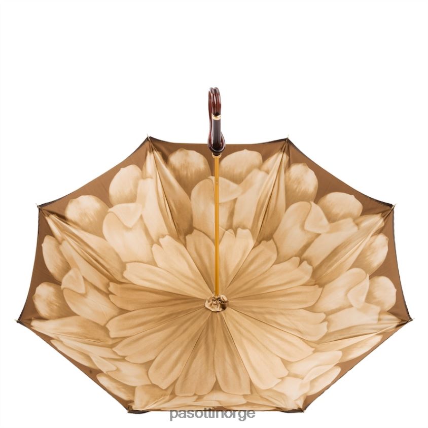 paraply | PASOTTI 189 21065-40 a - brun dahlia paraply, dobbel klut 8B6Z26371 kvinner