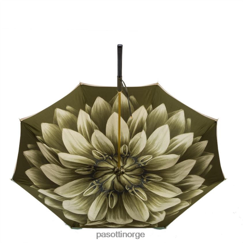 paraply | PASOTTI 189 21273-13 h15 - grønn dahlia paraply, dobbel klut 8B6Z26376 kvinner