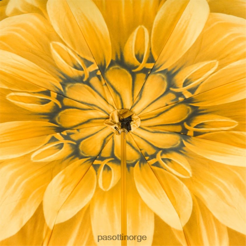 paraply | PASOTTI 189 21273-6 s8ab - luksus gull dahlia paraply, dobbel klut 8B6Z26387 kvinner