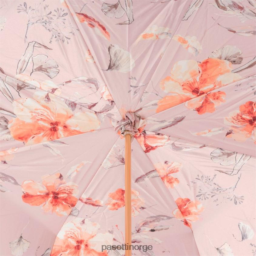 paraply | PASOTTI 189 5f211-8 s7 - elfenben og rosa blomsterparaply 8B6Z26339 kvinner