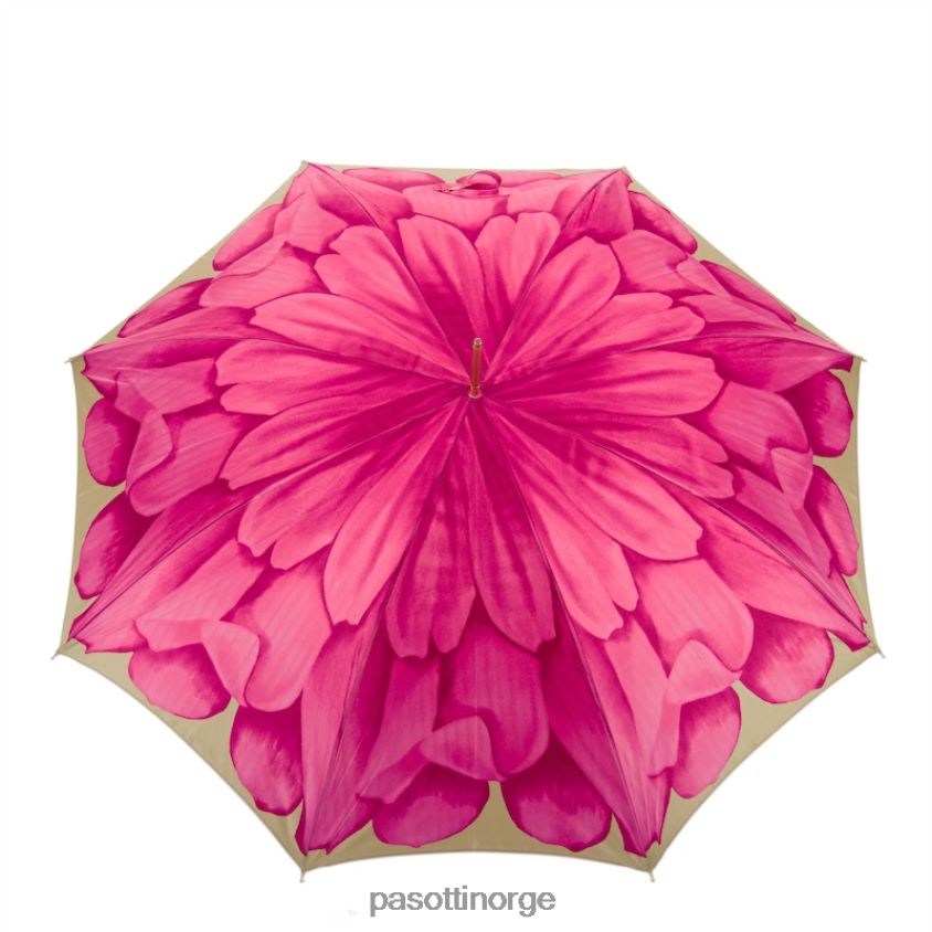 paraply | PASOTTI 460 21065-30 p5 - fuchsia dahlia paraply 8B6Z26344 kvinner