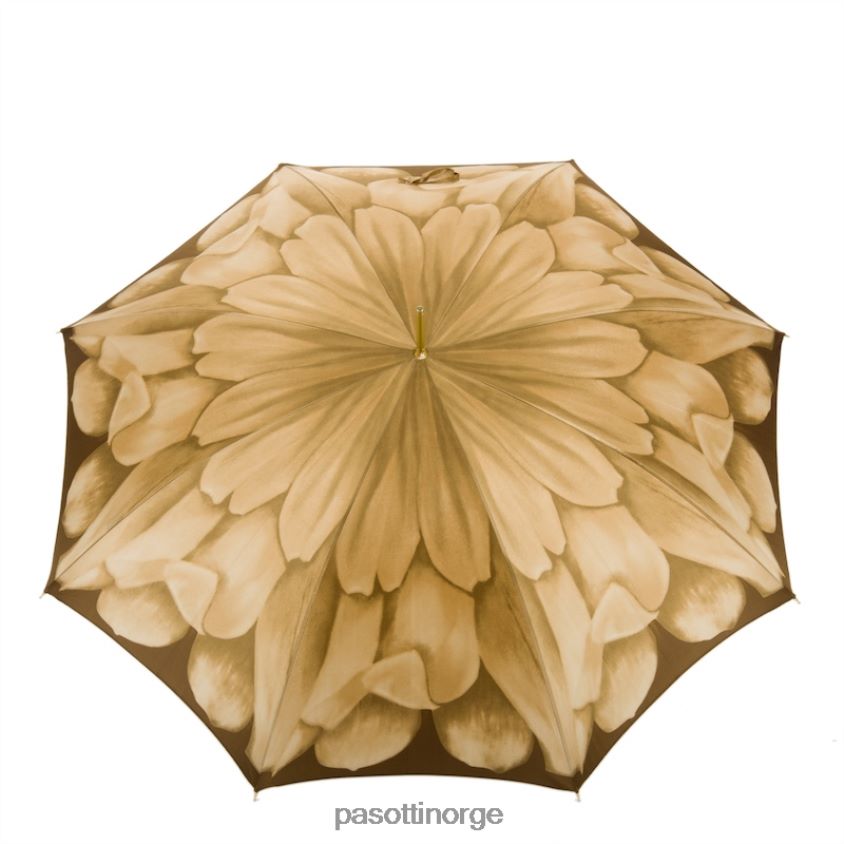 paraply | PASOTTI 460 21065-40 t9 - luksus dahlia paraply 8B6Z26360 kvinner