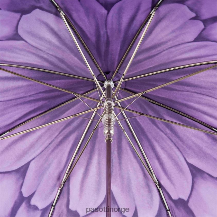 paraply | PASOTTI 460n 21065-71 g15 - lilla dahlia paraply 8B6Z26369 kvinner