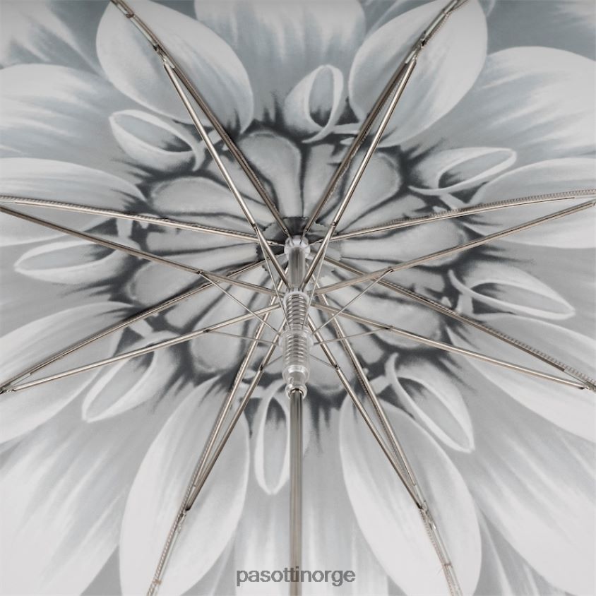 paraply | PASOTTI 460n 21273-11 g15 - solsikkeparaply i sølv 8B6Z26391 kvinner