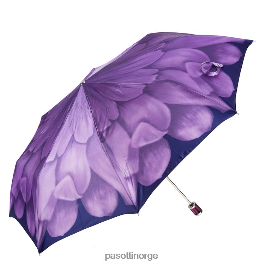 paraply | PASOTTI 257 21065-71 s11 - nydelig lilla blomsterparaply 8B6Z26611 kvinner