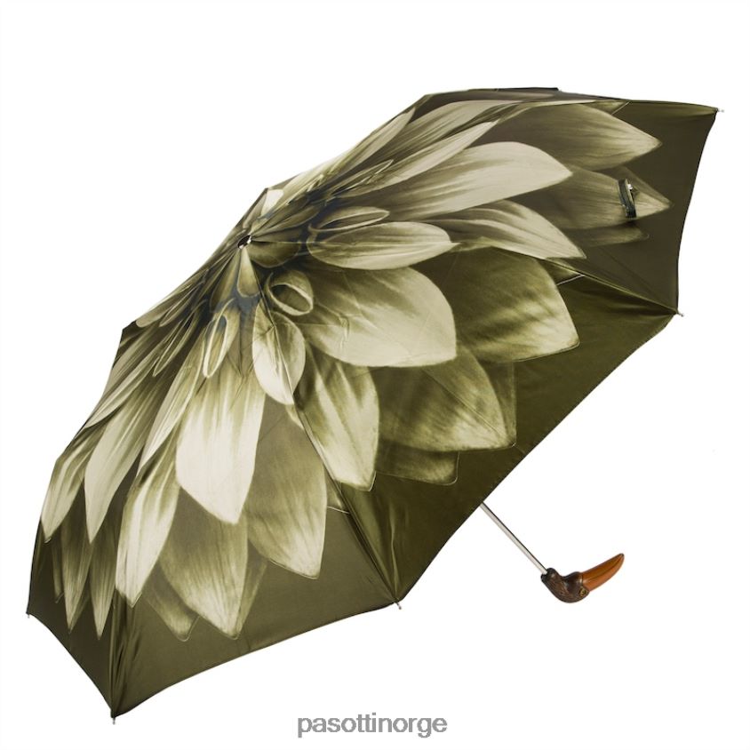 paraply | PASOTTI 257 21273-13 141 - sammenleggbar paraply med grønn blomstertukan 8B6Z26592 kvinner