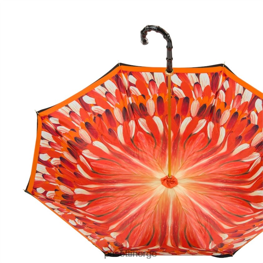 paraply | PASOTTI 189 30093-4 n5 - paraply med oransje penselstrøk, dobbel klut 8B6Z26479 kvinner