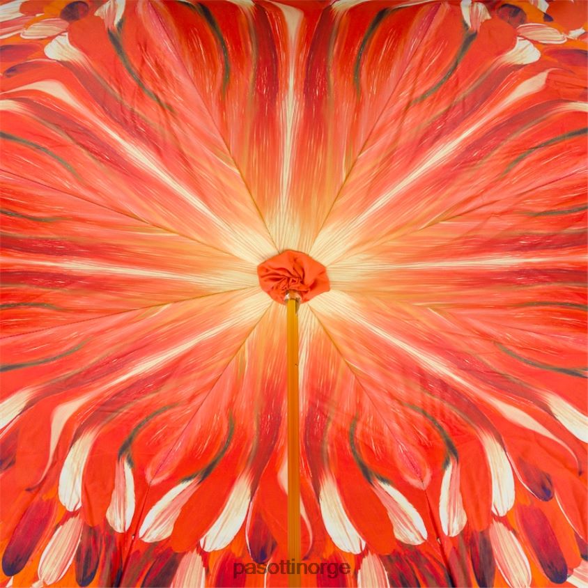 paraply | PASOTTI 189 30093-4 n5 - paraply med oransje penselstrøk, dobbel klut 8B6Z26479 kvinner