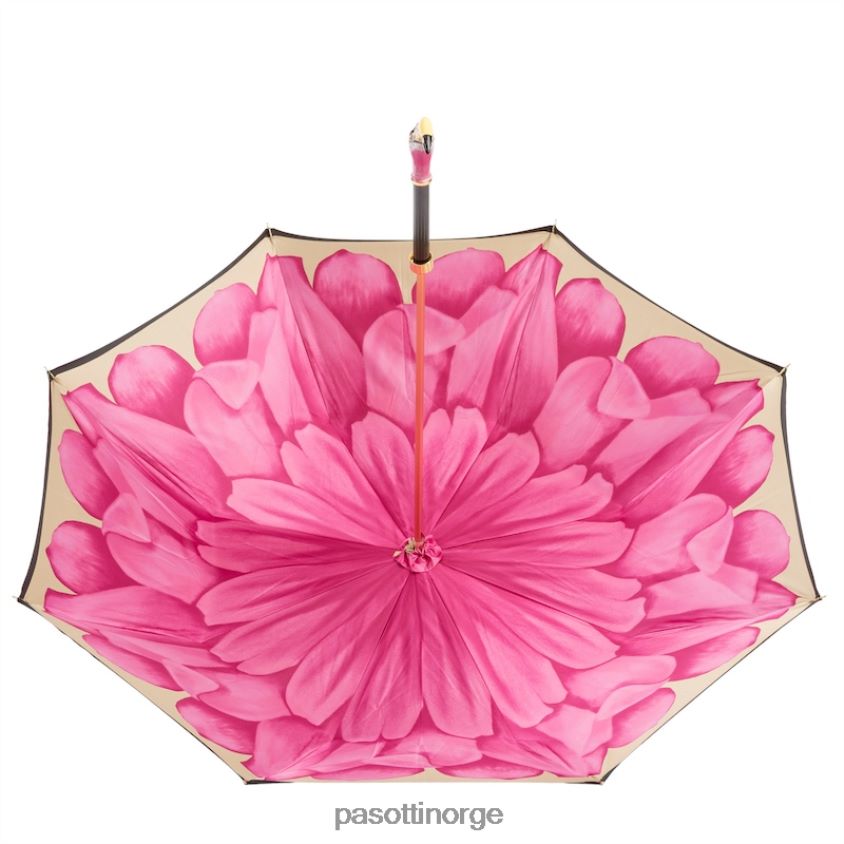 paraply | PASOTTI 189 21065-30 k9 - flamingo paraply 8B6Z26506 kvinner