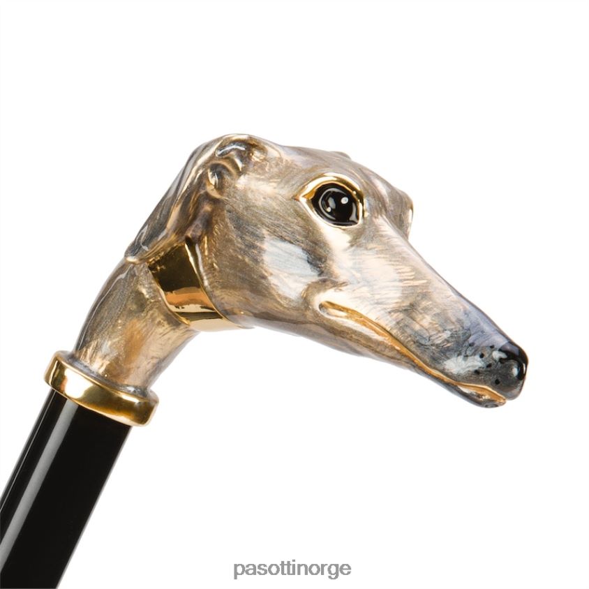 paraply | PASOTTI 189 21065-51 k63 - greyhound paraply 8B6Z26511 kvinner
