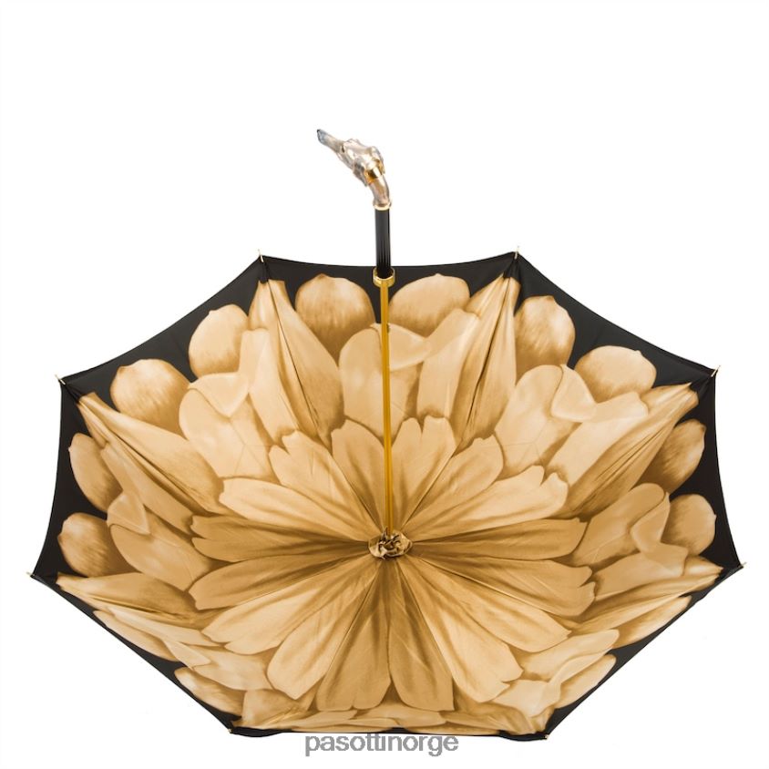 paraply | PASOTTI 189 21065-51 k63 - greyhound paraply 8B6Z26511 kvinner