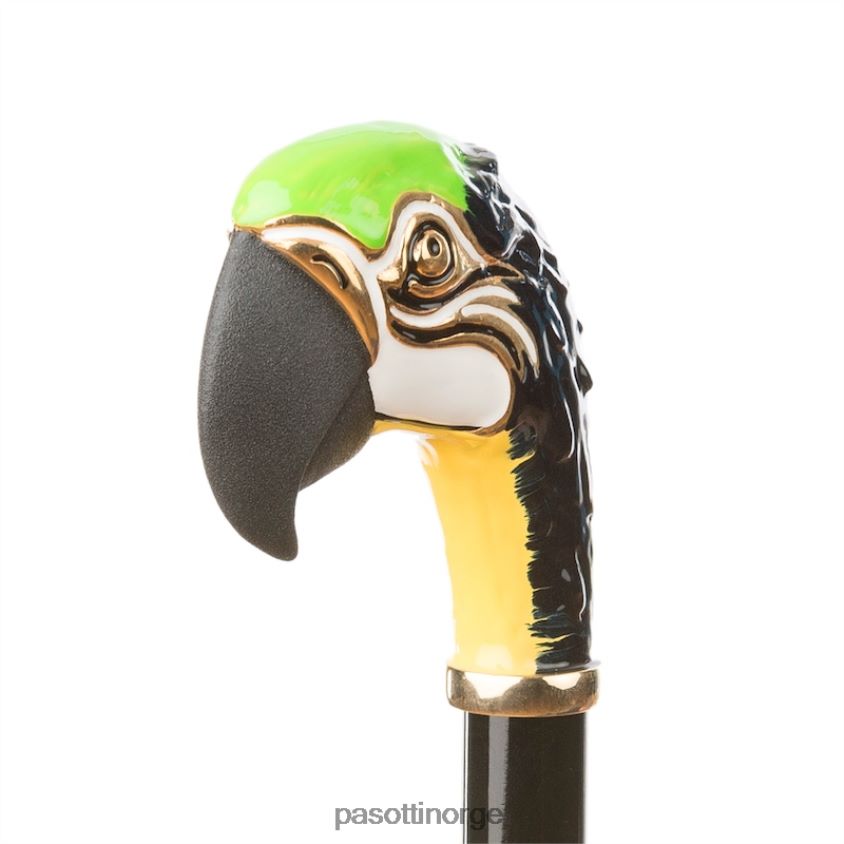 paraply | PASOTTI 189 5d568-1 k35 - papegøyeparaply 8B6Z26532 kvinner