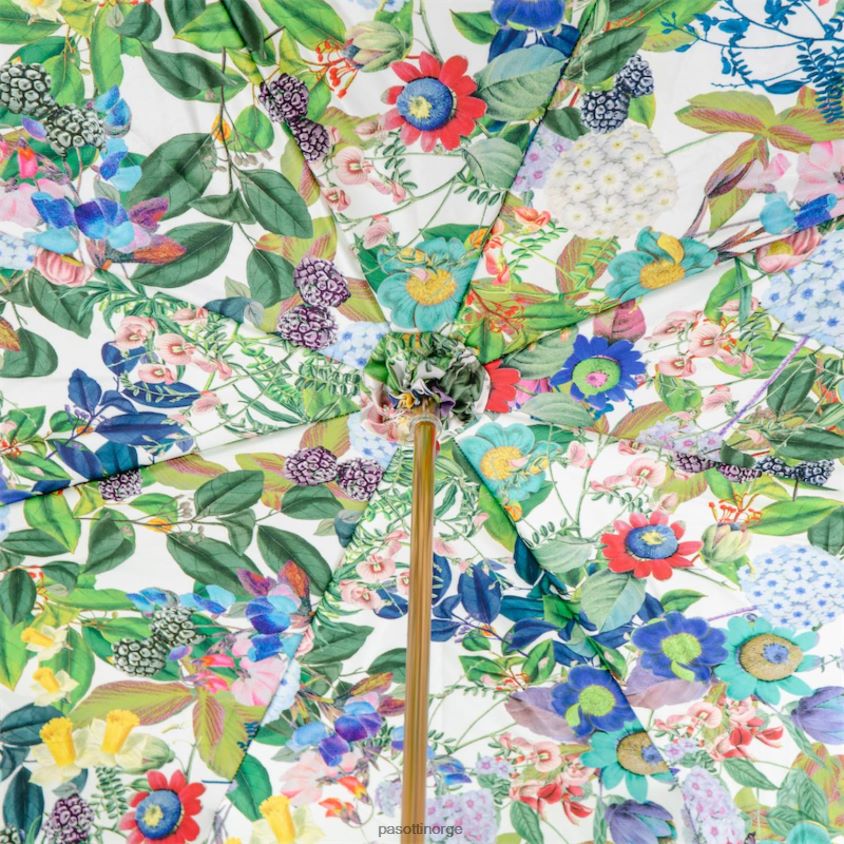 paraply | PASOTTI 189 5l011-2 k28 - calla paraply 8B6Z26499 kvinner