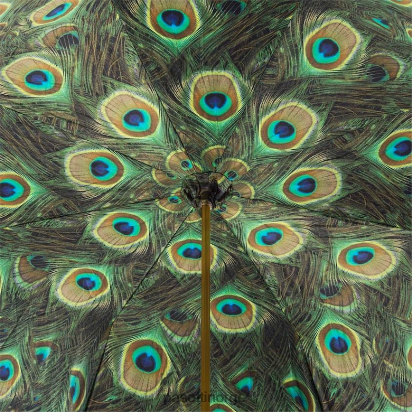 paraply | PASOTTI 189 hawaii k18 - luksuriøs påfuglparaply 8B6Z26531 kvinner