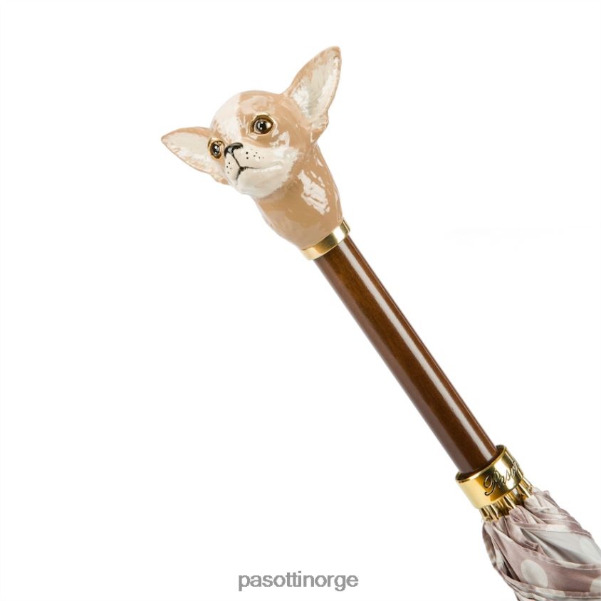 paraply | PASOTTI 20 55874-153 k70pa - chihuahua paraply med prikker 8B6Z26505 kvinner