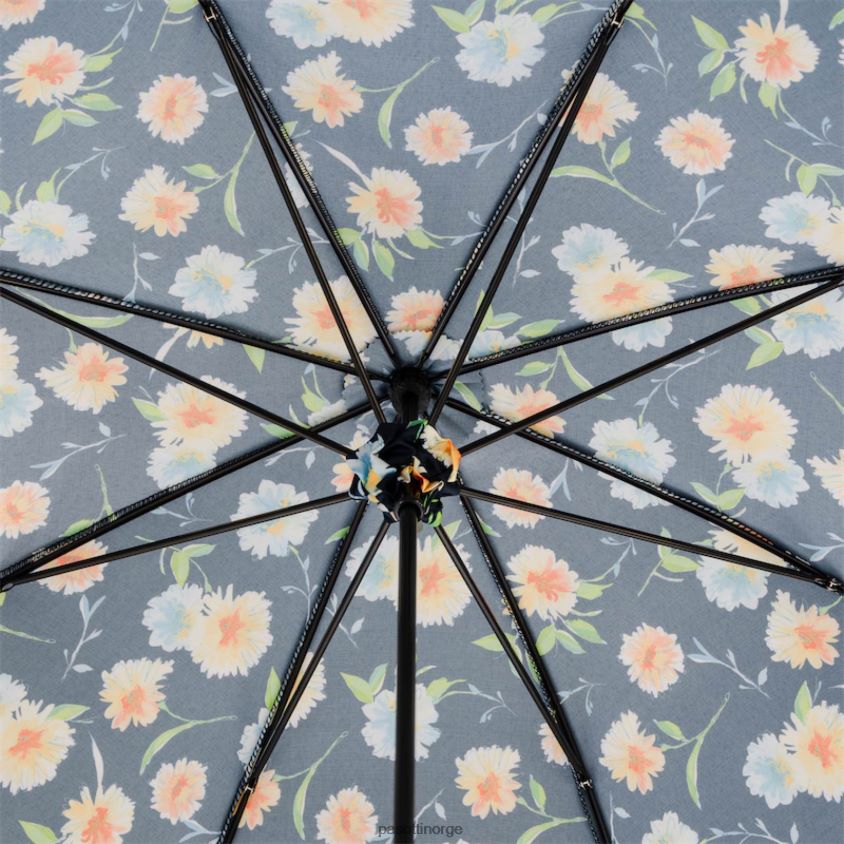 paraply | PASOTTI 354ne 34-6 d1 - parasoll margheritt 8B6Z26640 kvinner