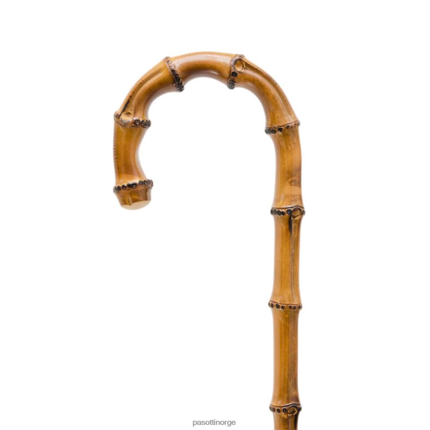 paraply | PASOTTI 354ne 5y259-9 d4 - blomstret parasoll med whangee håndtak 8B6Z26635 kvinner