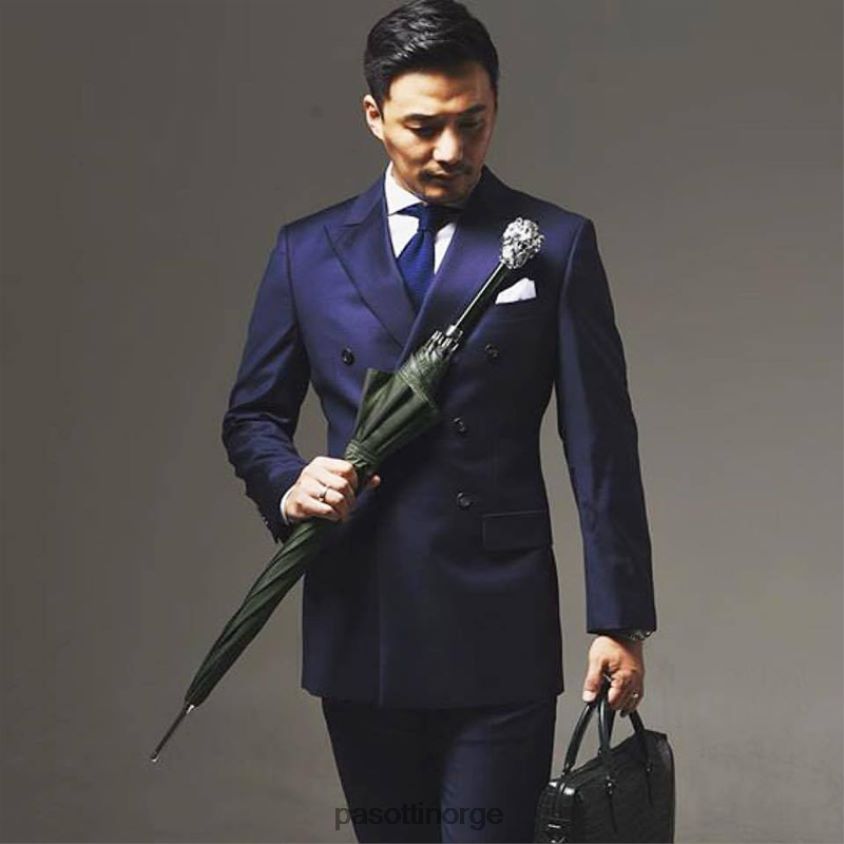 paraply | PASOTTI 478 6768-6 w37pv - grønn paraply, sølv løvehåndtak 8B6Z2679 menn