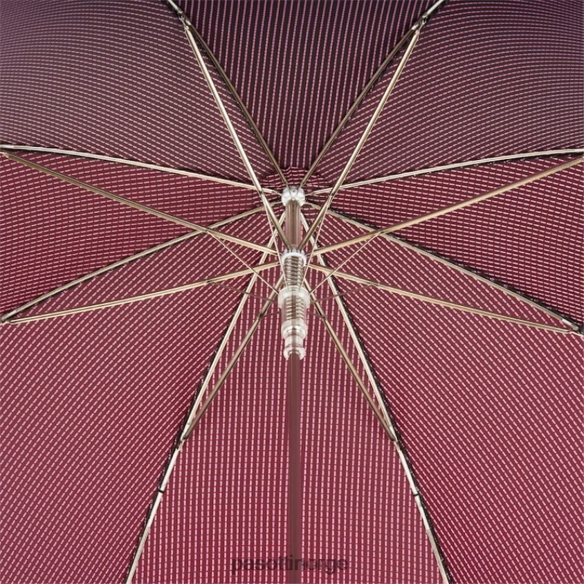 paraply | PASOTTI 478 pto cn2 k71 - paraply med emaljert bjørn 8B6Z2649 menn