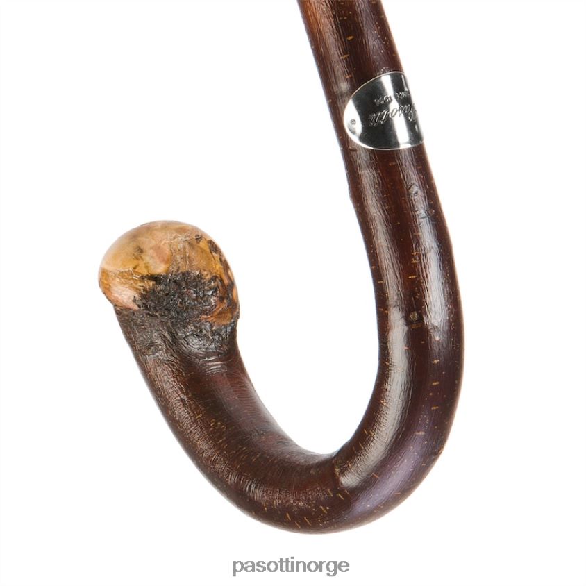 paraply | PASOTTI 142 11780-254 cbr - skreddersydd kamuflasjeparaply 8B6Z26120 menn