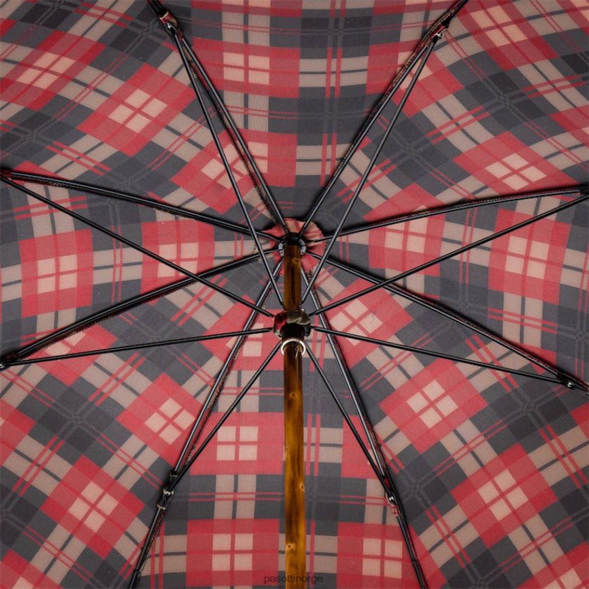 paraply | PASOTTI 142 celtic-5 ori - oryx horn paraply 8B6Z2699 menn