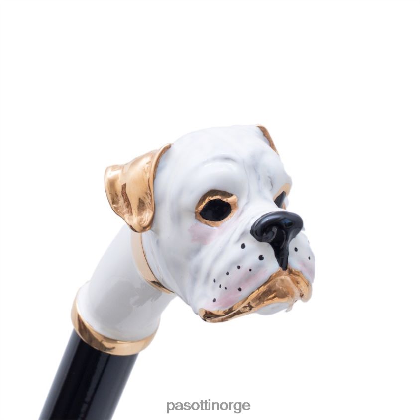 tilbehør PASOTTI cs k22bi - hvit boxer skohorn 8B6Z26278 unisex