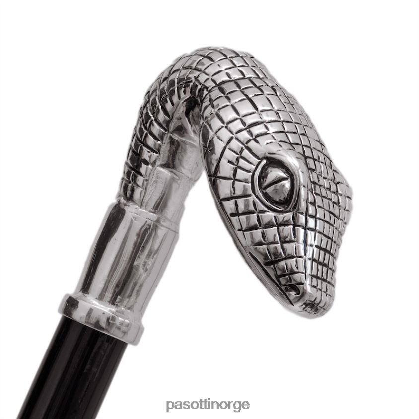 tilbehør PASOTTI cs w31 - hodet til slangeskohorn 8B6Z26304 unisex