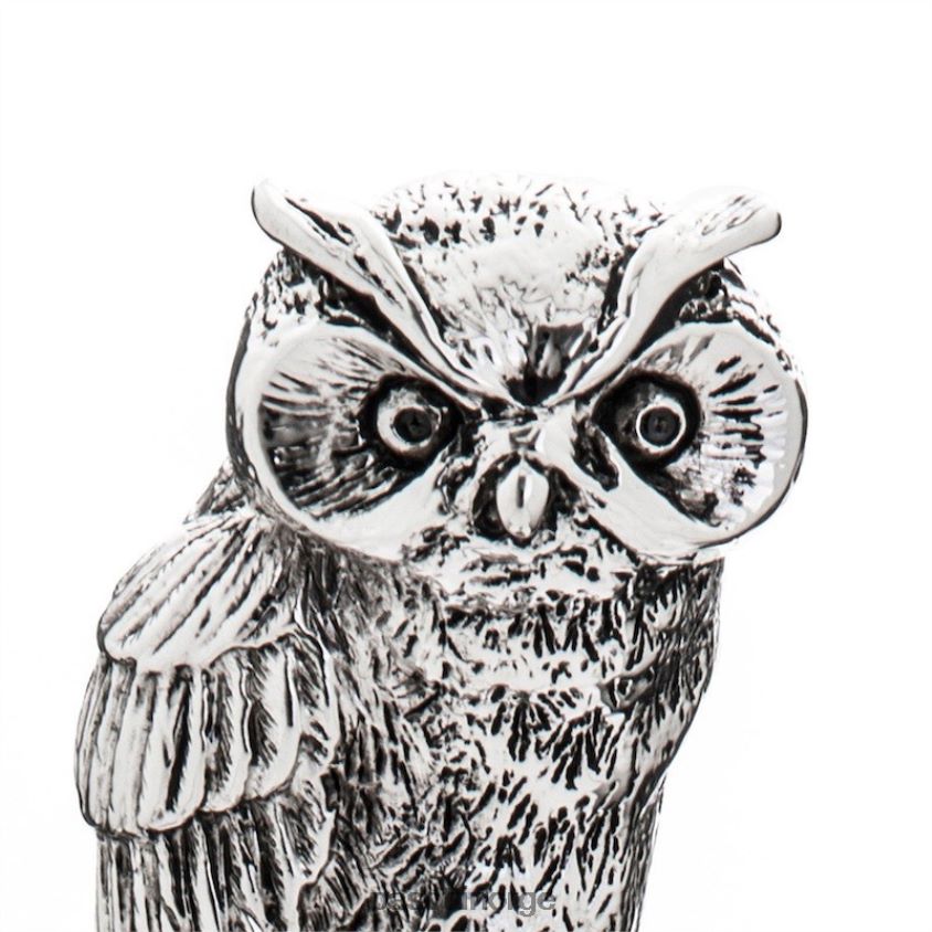 tilbehør PASOTTI cs w44 - ugleskohorn i sølv 8B6Z26301 unisex