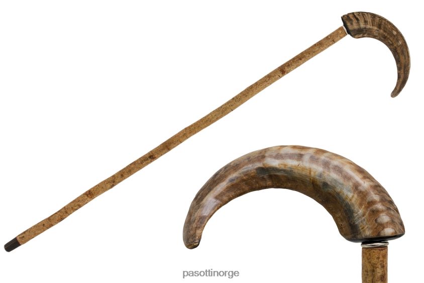 tilbehør PASOTTI ba cm - fårehornstokk 8B6Z26237 unisex