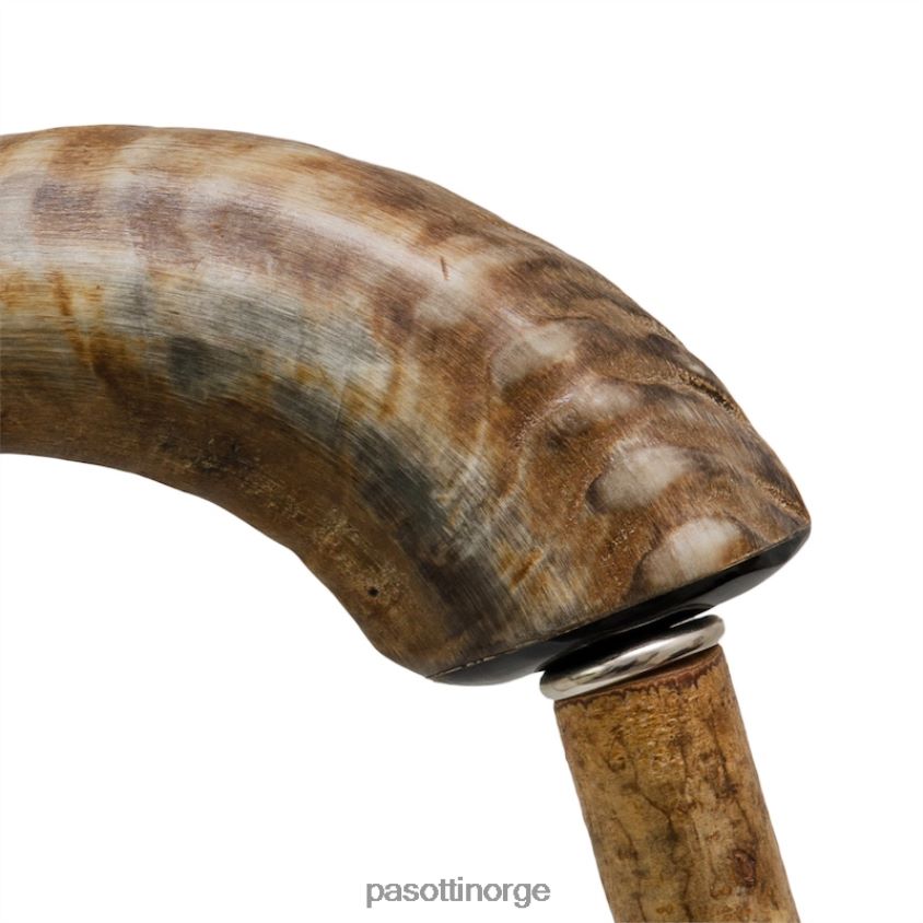 tilbehør PASOTTI ba cm - fårehornstokk 8B6Z26237 unisex