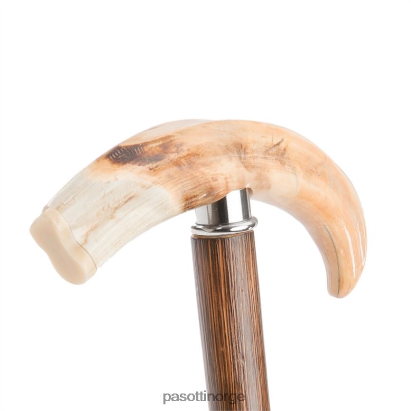 tilbehør PASOTTI ba df - vortesvin stokk 8B6Z26205 unisex