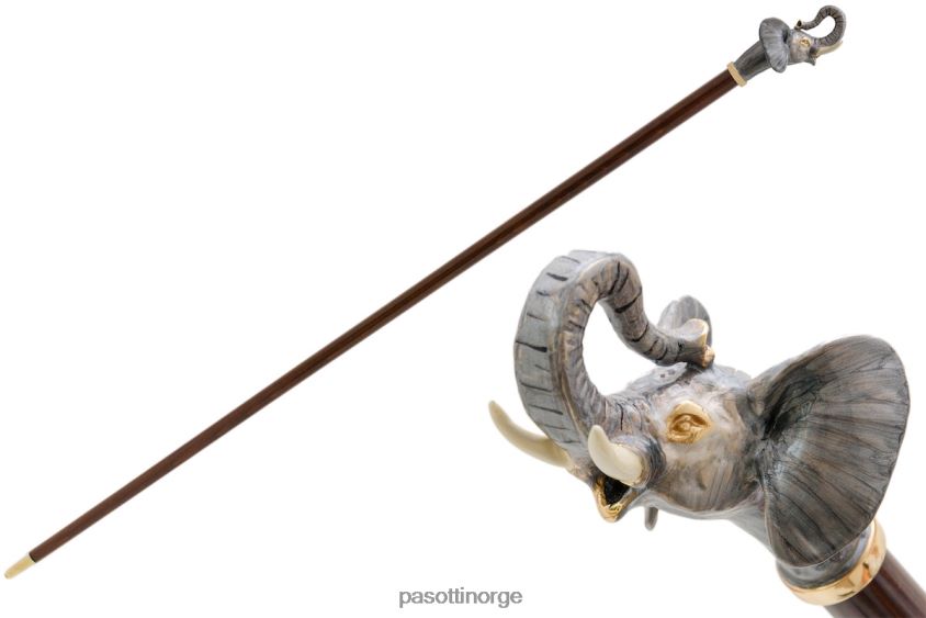 tilbehør PASOTTI ba k32 - elefantstokk 8B6Z26251 unisex