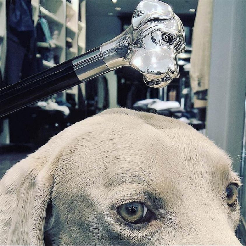 tilbehør PASOTTI ba w27 - sølv labrador stokk 8B6Z26233 unisex