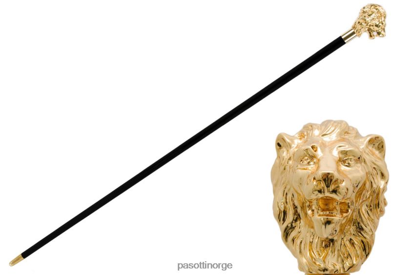 tilbehør PASOTTI ba w37or - gylden løvestokk 8B6Z26221 unisex