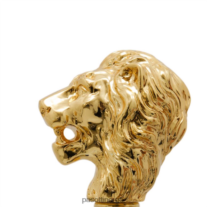 tilbehør PASOTTI ba w37or - gylden løvestokk 8B6Z26221 unisex