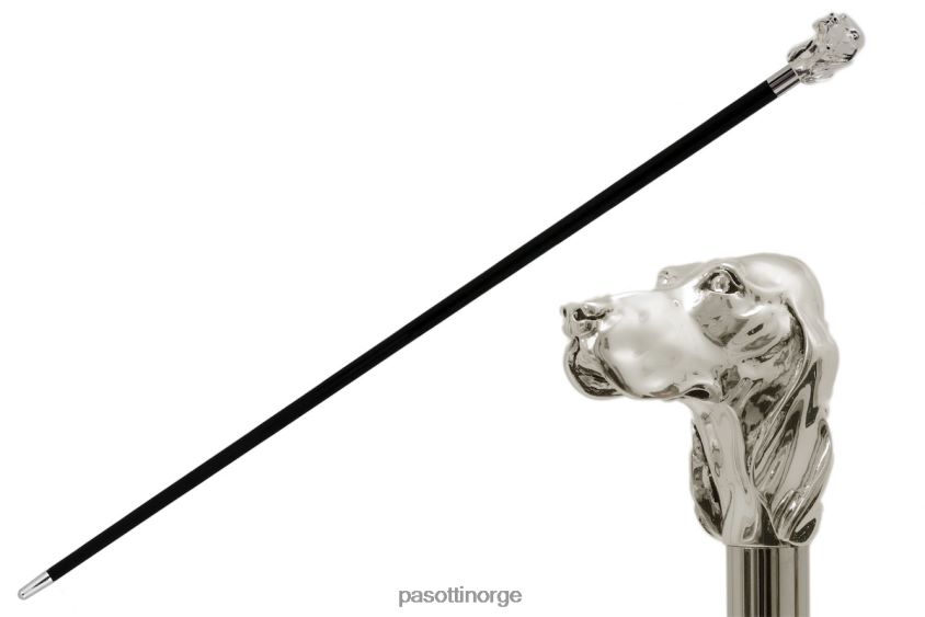 tilbehør PASOTTI ba w40 - sølv hundestokk 8B6Z26228 unisex
