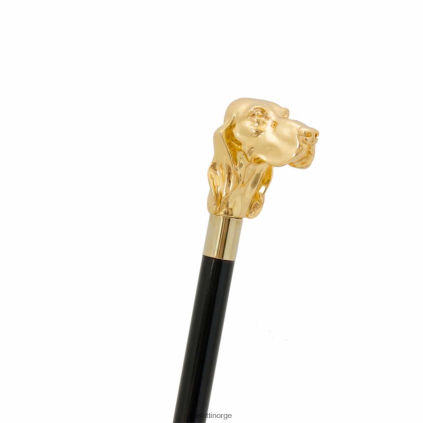 tilbehør PASOTTI ba w40or - gylden fidocane 8B6Z26255 unisex