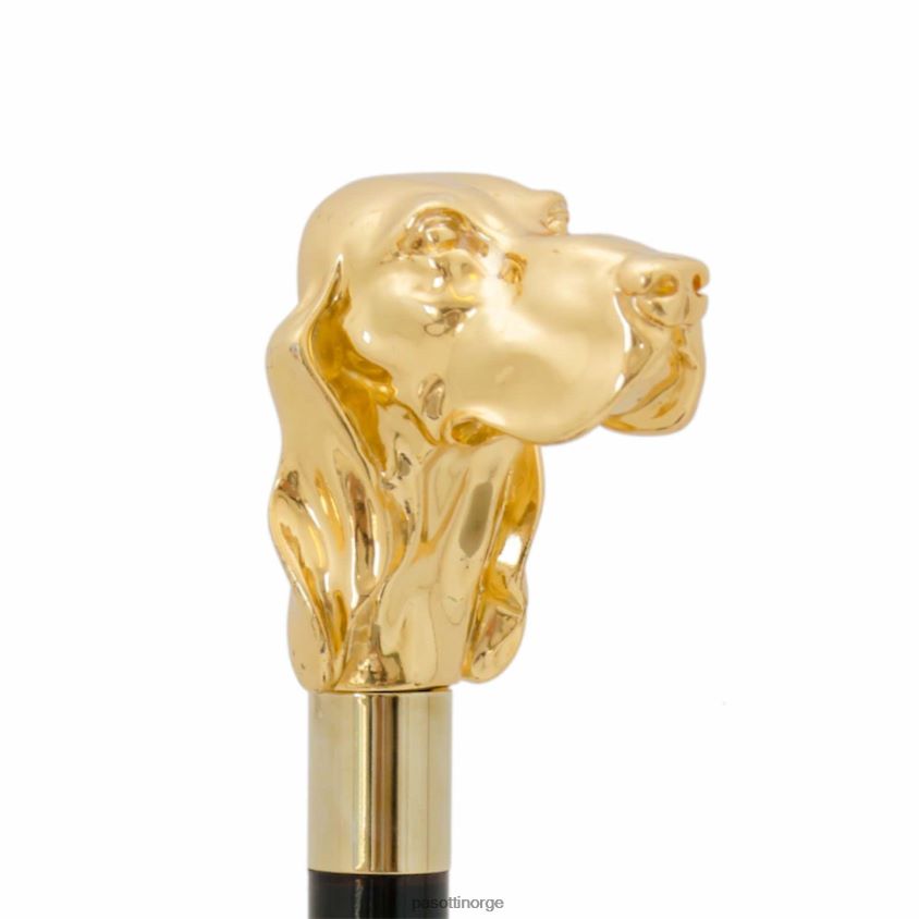 tilbehør PASOTTI ba w40or - gylden fidocane 8B6Z26255 unisex