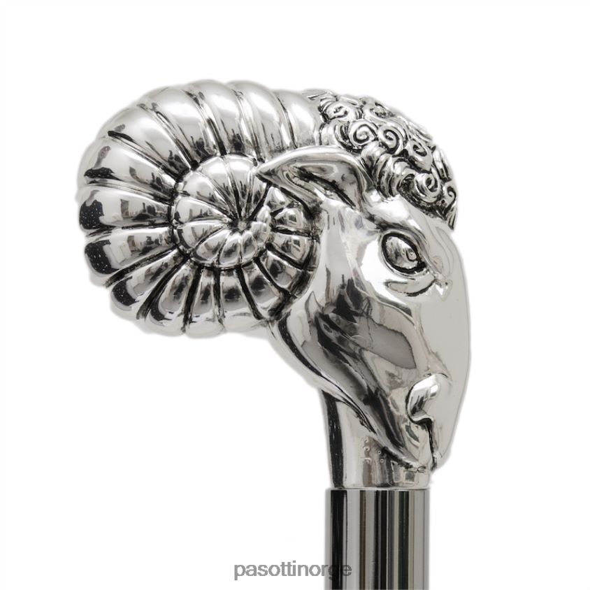 tilbehør PASOTTI ba w86 - sølv ram stokk 8B6Z26236 unisex